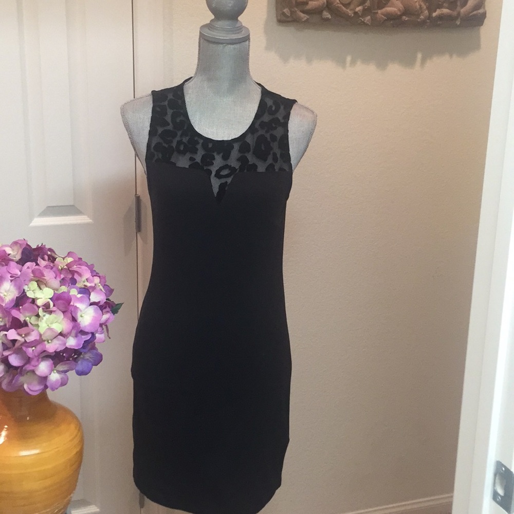 Little black dress with mesh animal print detail